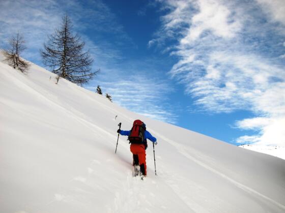 Der Steilhang wird durch eine Querung nach rechts verlassen, man erreicht einen Rücken und lichten Wald.