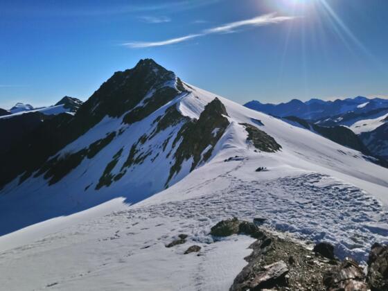 Weißkugeljoch mit Blick auf Langtauferer Spitze