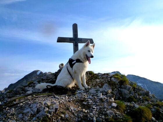 Gipfel Thaurer Joch Spitze