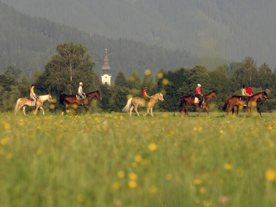 Reiten