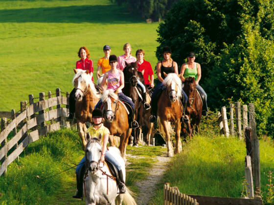 Reiten