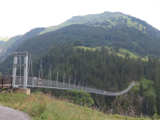 Holzgauer Hängebrücke