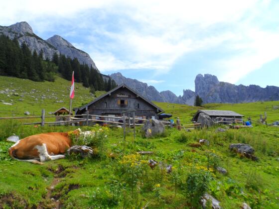 Stuhlalm