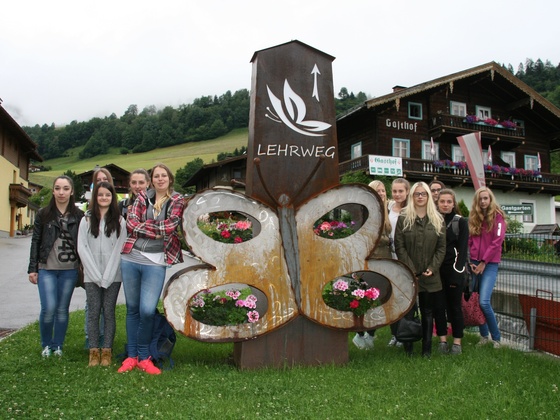 Wegweiser Schmetterlingslehrpfad