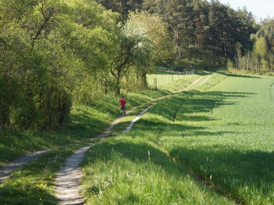 Hangweg zwischen Mittelstreu und Unsleben
