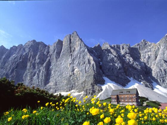 Die Falkenhütte vor der Herzogkante und den Lalidererwänden