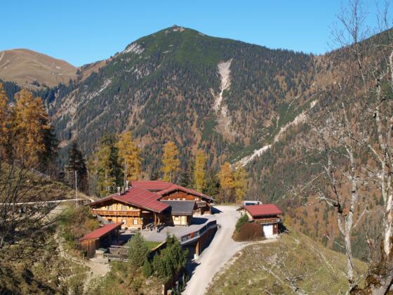 Feilalm 1372m