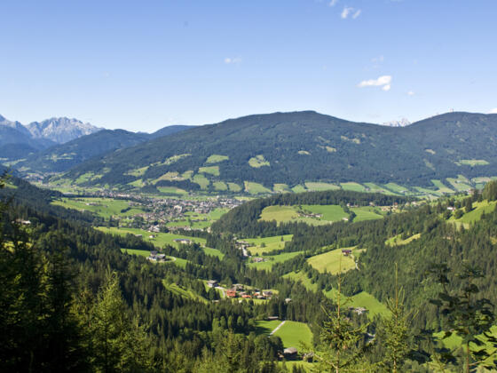 Blick zum Ort Altenmarkt