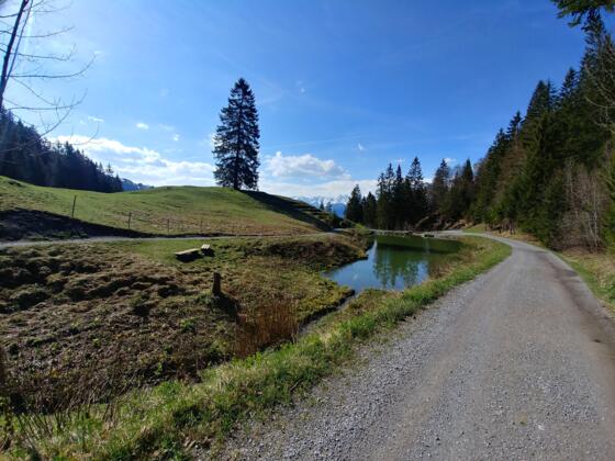 Bergweiher am Wegesrand