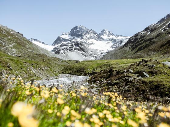 Ochsental mit dem Piz Buin