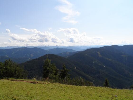 Grasberge