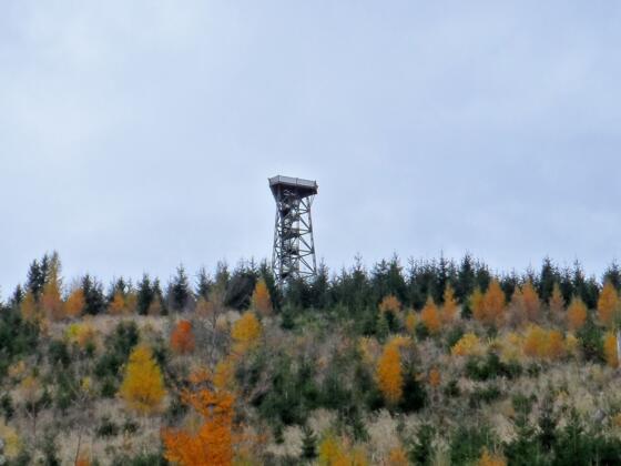 Aussichtsplattform am Damberg