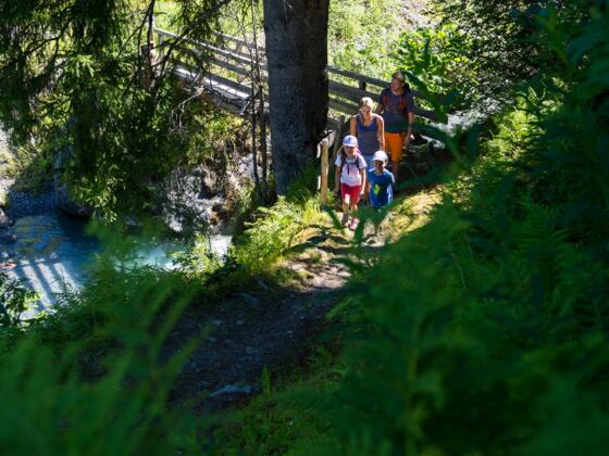 Zum Wasserfall Nenzigast
