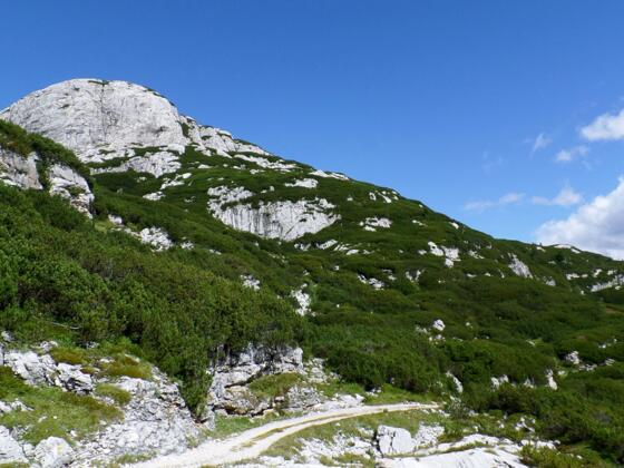 Niederer Krippenstein