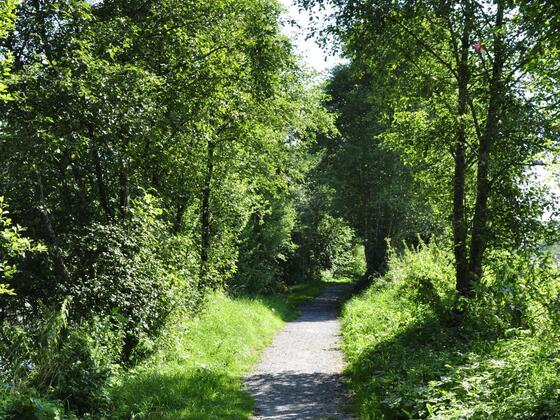 Laufstrecke Salzach