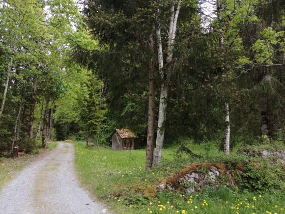 Alfenzweg