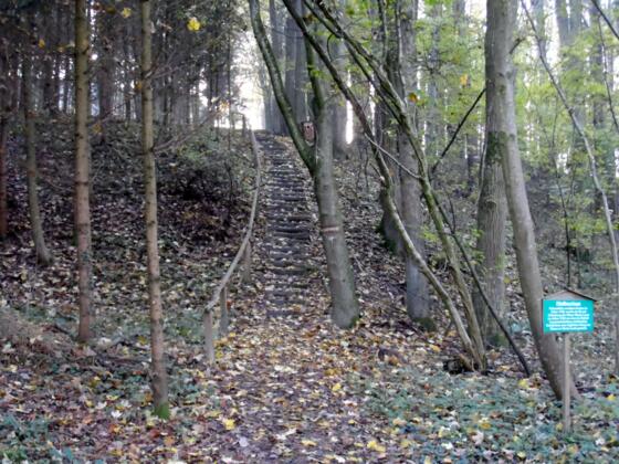 Pfaffenstiege
