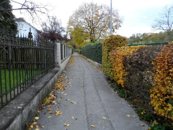 Am Bergerweg