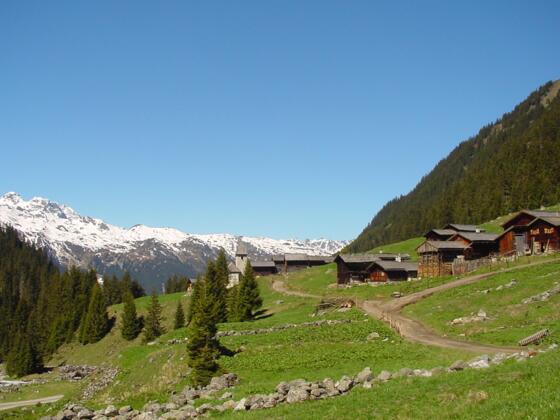 Valschaviel Maisäß