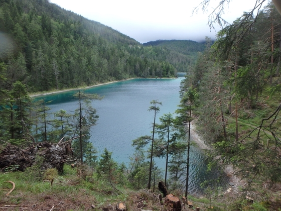 Blindsee
