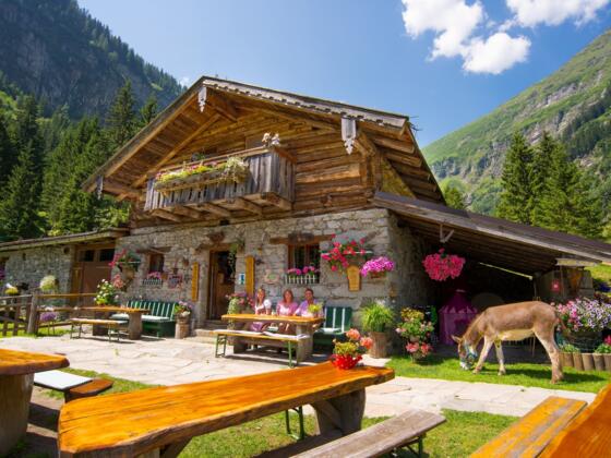 Untere Astenalm