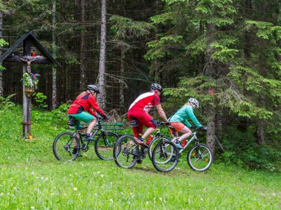 Eibenberg Runde