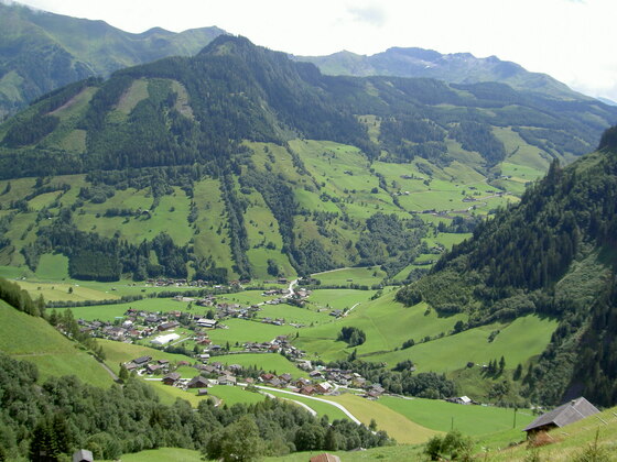 Ausblick auf Wörth