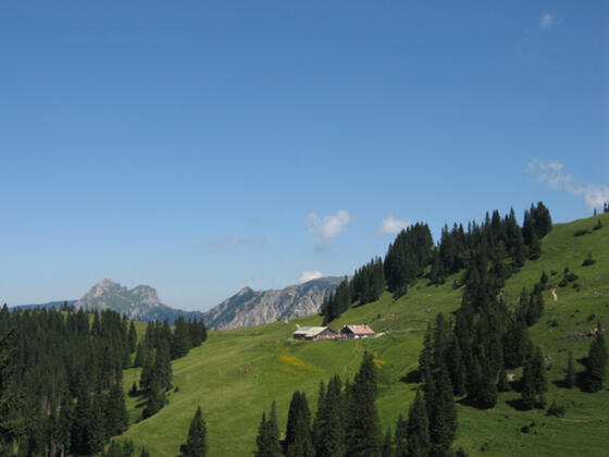 Nesselwängler Edenalpe