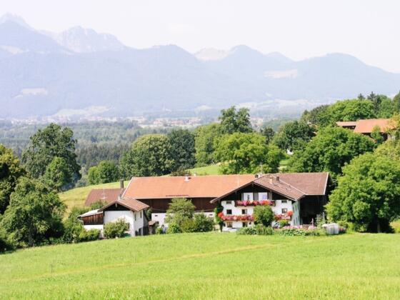 Kleehammerhof mit Bergpanorama