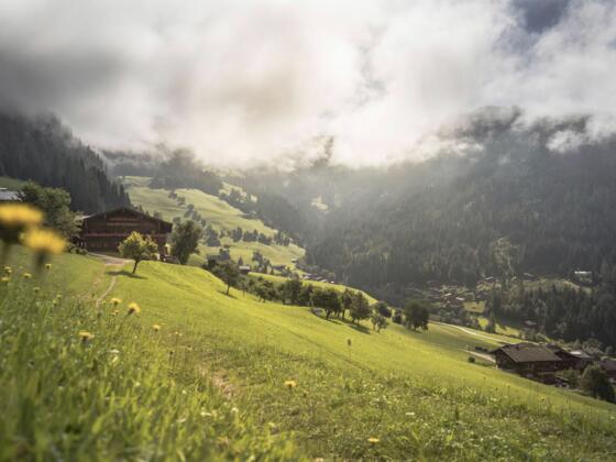 Alpbach Blick auf Erbhof
