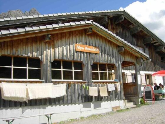 Untere Auenfeldalpe