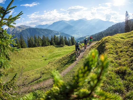 Singletrail Itonskopf