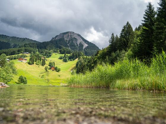 Seewaldsee