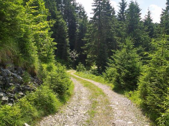 Wanderwerg in St. Koloman