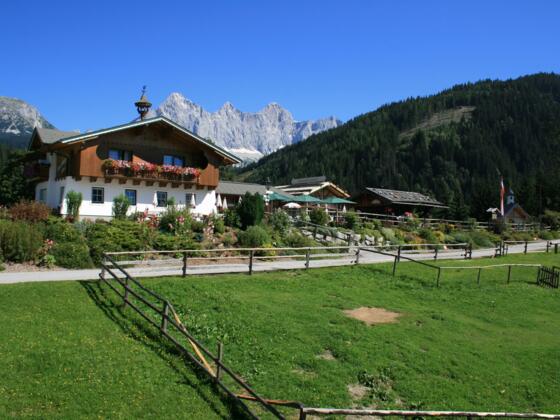 Mandlberggut