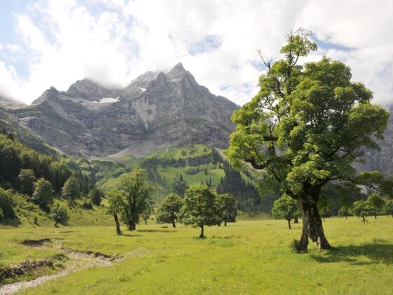 Am Themenweg zur Eng-Alm erfährt man einiges über die Geschichte des Großen Ahornbodens, der Landwirtschaft und über den Naturpark Karwendel allgemein.