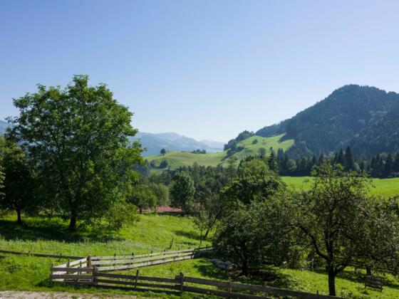 wunderschöne Aussicht