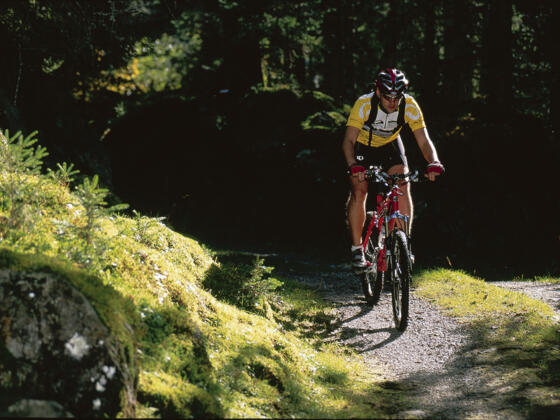 Neukirchen - Mittelstation Wildkogel