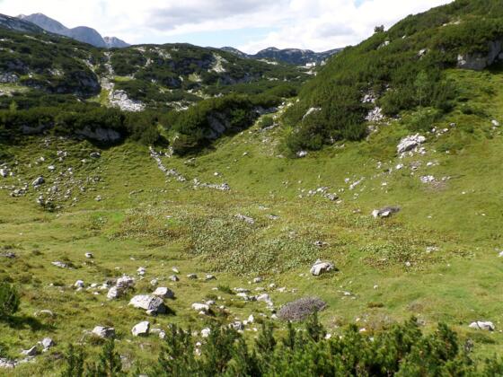 Hirzkaralm
