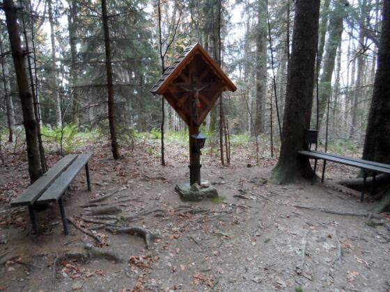 Am Gipfel des Spadenberges (1000m)
