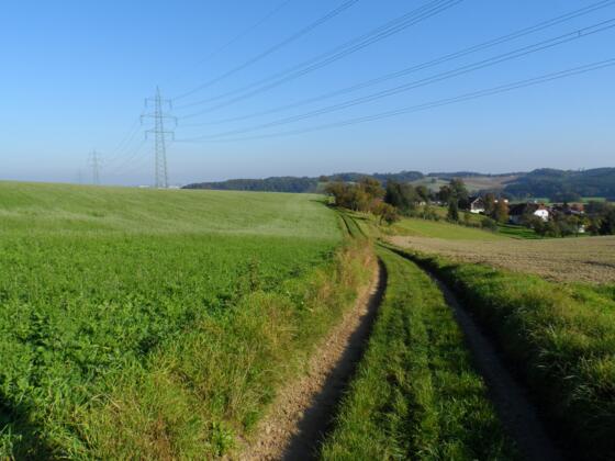 Anton Bruckner-Wanderweg