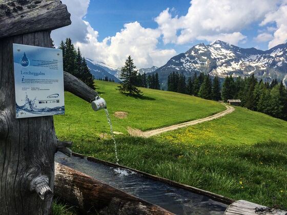 Brunnen bei der Lercheggalm