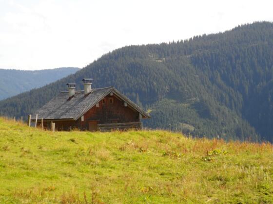 Lederingalm