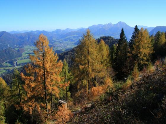 Sonntag, 22. Oktober 2017 22:31:09