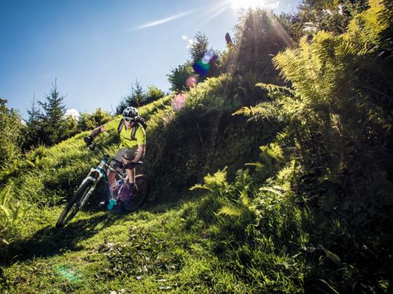 Biken am Kitzsteinhorn im Grünen