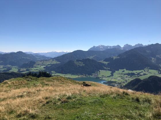 Aussicht vom Brennkopf auf den Wilden Kaiser