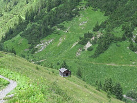 Almwiesen zwischen Warth und Lechleiten