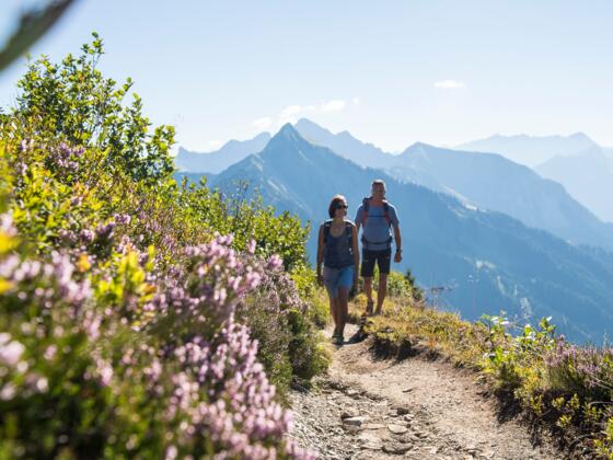 Unterwegs am Blumen-Wanderlehrpfad