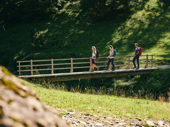 Wandern auf der Rossstelle Mellau