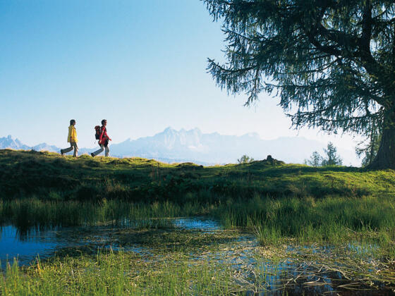 Weitwanderweg-Arnoweg